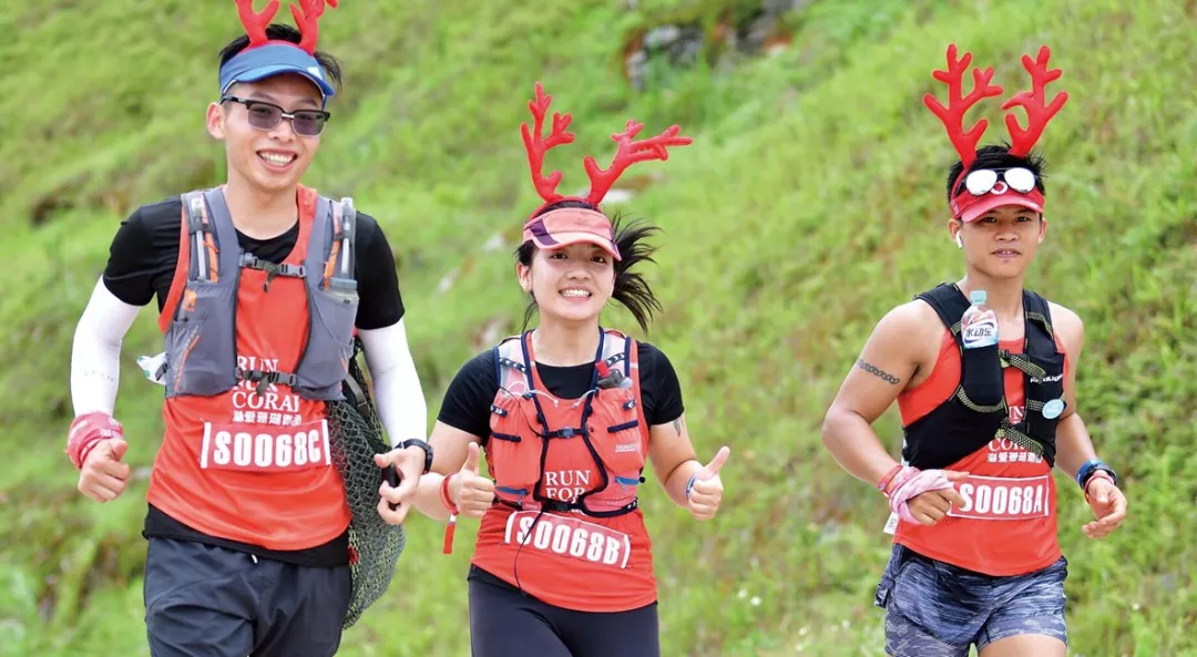 微信图片_20190219134941